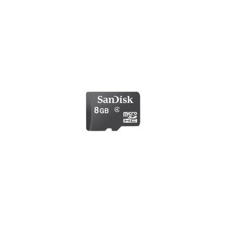 Carte micro SD pour REMI
