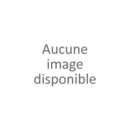 Microphone pour REMI